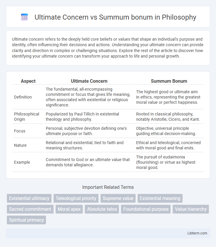 Summum bonum vs Ultimate Concern in Philosophy - What is The Difference?