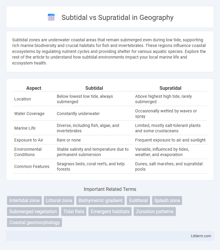 Supratidal vs Subtidal in Geography - What is The Difference?