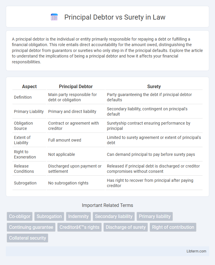 Surety vs Principal Debtor in Law - What is The Difference?