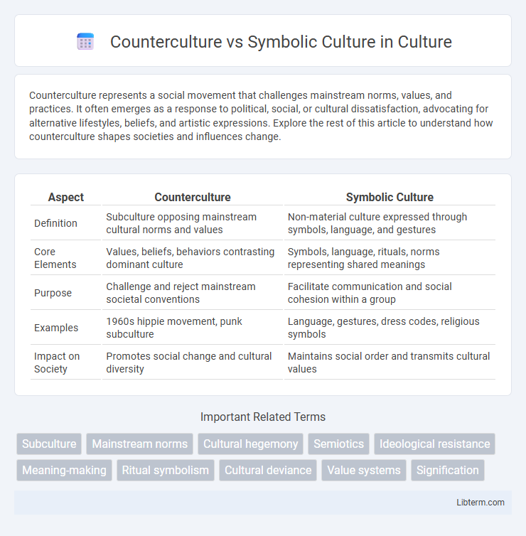 Symbolic Culture vs Counterculture in Culture - What is The Difference?