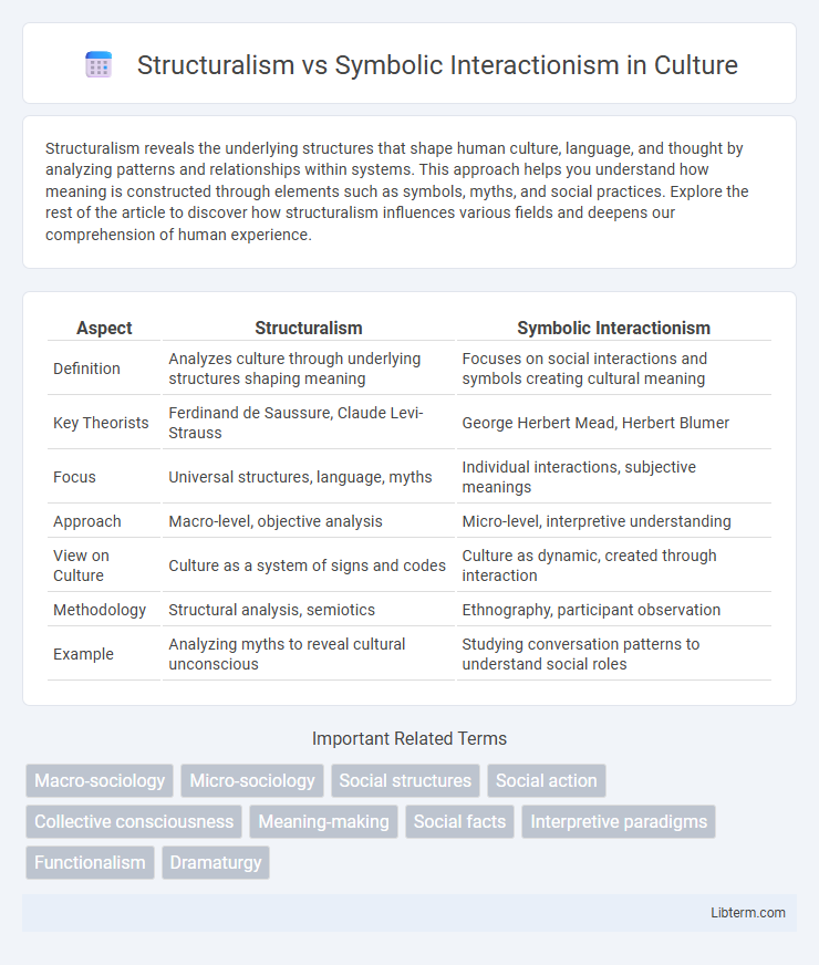 Symbolic Interactionism vs Structuralism in Culture - What is The Difference?