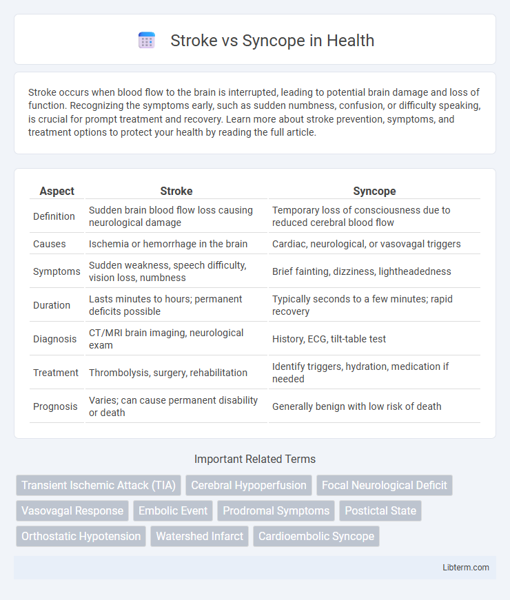 Syncope vs Stroke in Health - What is The Difference?