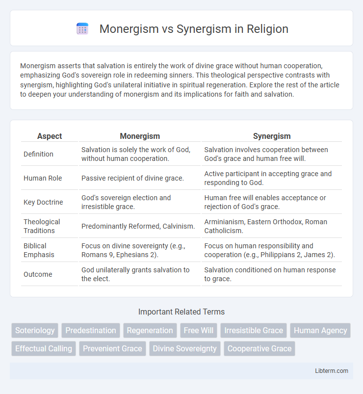Synergism vs Monergism in Religion - What is The Difference?
