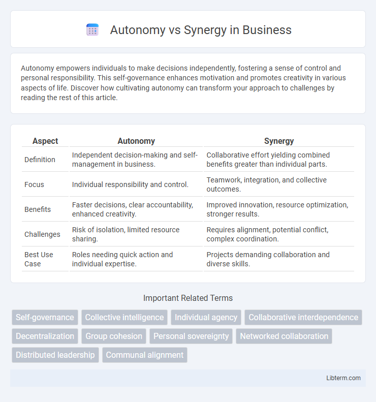 Synergy vs Autonomy in Business - What is The Difference?