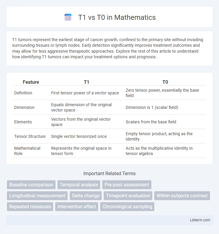 T0 vs T1 in Mathematics - What is The Difference?
