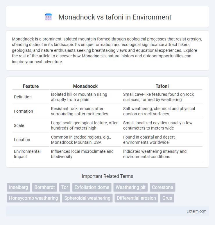 tafoni vs Monadnock in Environment - What is The Difference?