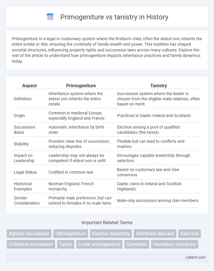 tanistry vs Primogeniture in History - What is The Difference?