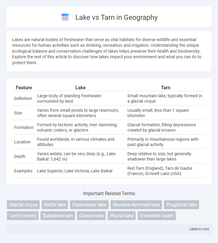 Tarn vs Lake in Geography - What is The Difference?