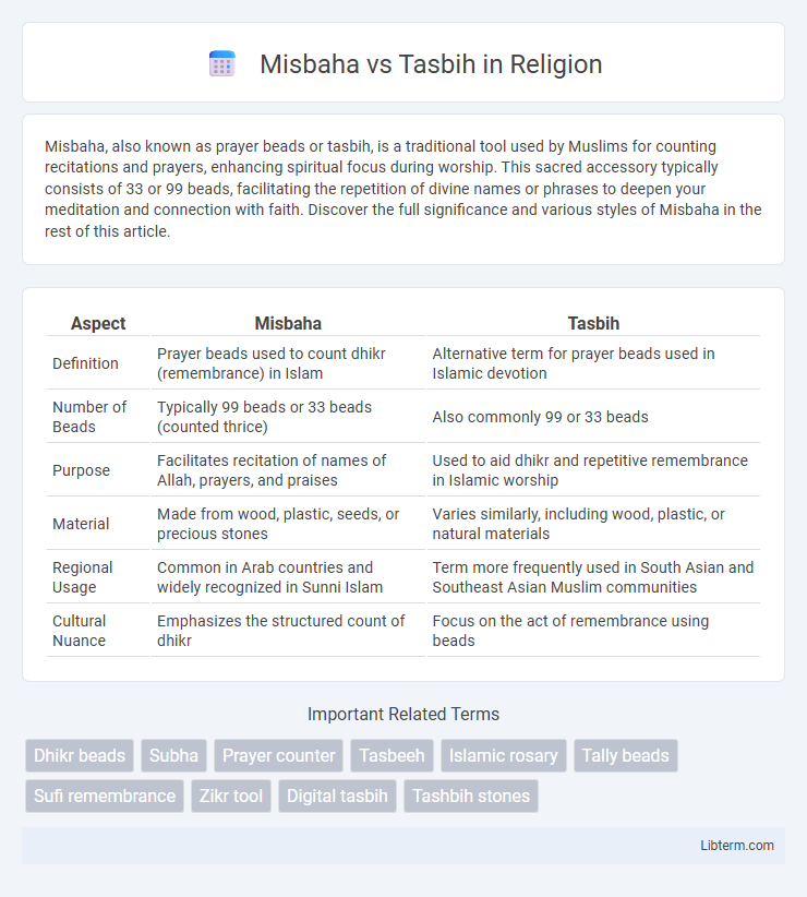 Tasbih vs Misbaha in Religion - What is The Difference?