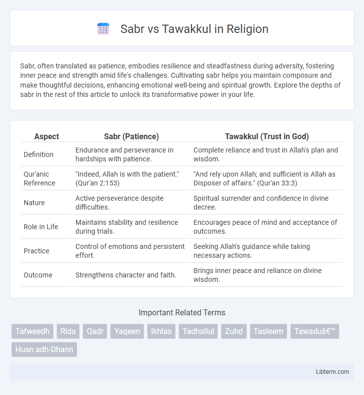 Tawakkul vs Sabr in Religion - What is The Difference?