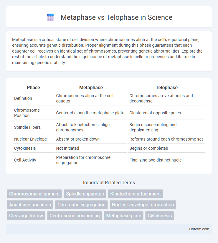 Telophase vs Metaphase in Science - What is The Difference?