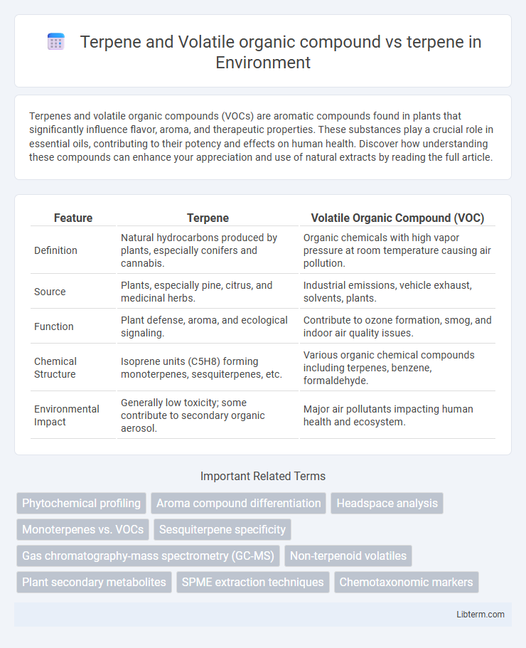 terpene vs Terpene and Volatile organic compound in Environment - What is The Difference?