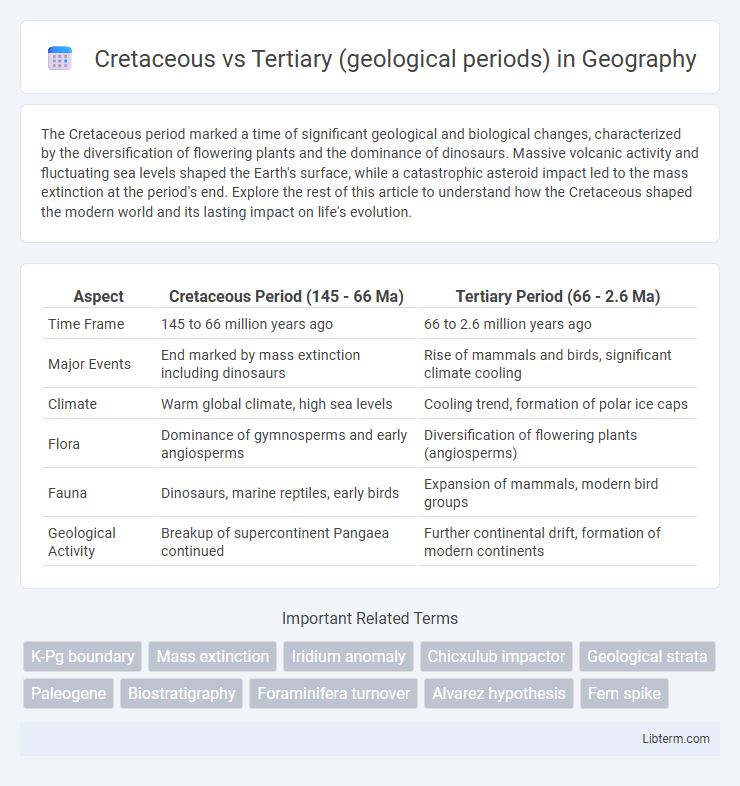 Tertiary (geological periods) vs Cretaceous in Geography - What is The Difference?
