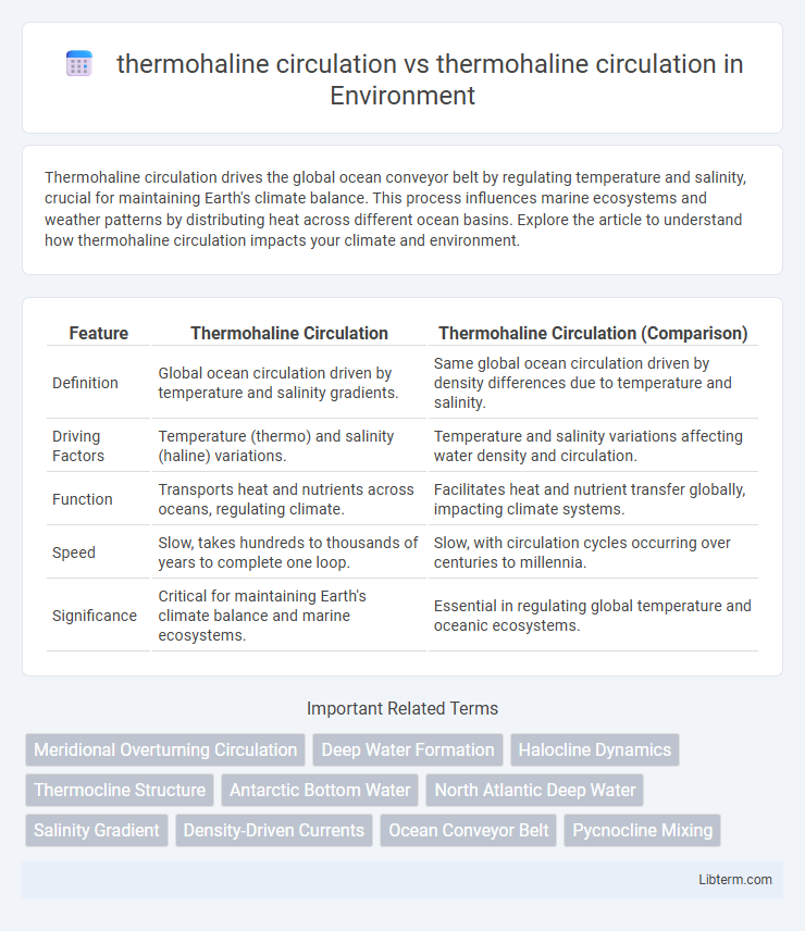 thermohaline circulation vs thermohaline circulation in Environment - What is The Difference?