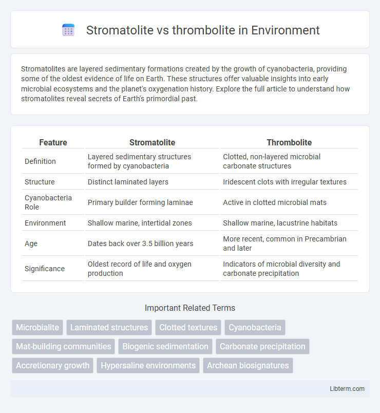 thrombolite vs Stromatolite in Environment - What is The Difference?