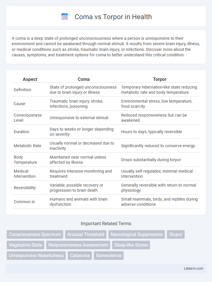 Torpor vs Coma in Health - What is The Difference?