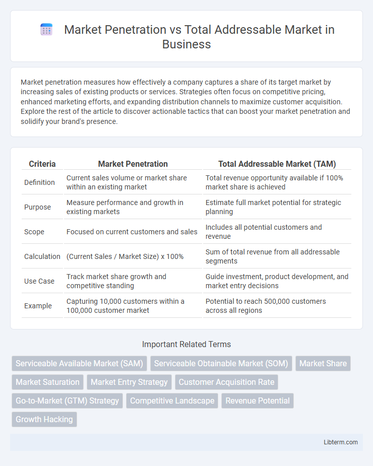 Total Addressable Market vs Market Penetration in Business - What is The Difference?
