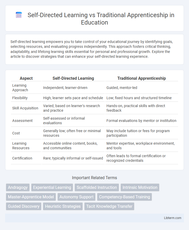 Traditional Apprenticeship vs Self-Directed Learning in Education - What is The Difference?