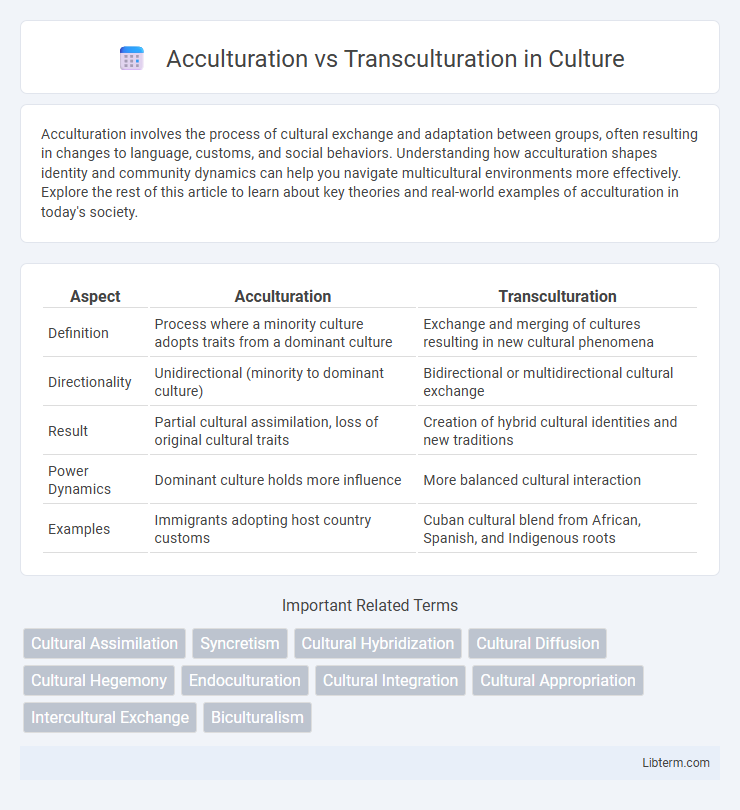 Transculturation vs Acculturation in Culture - What is The Difference?