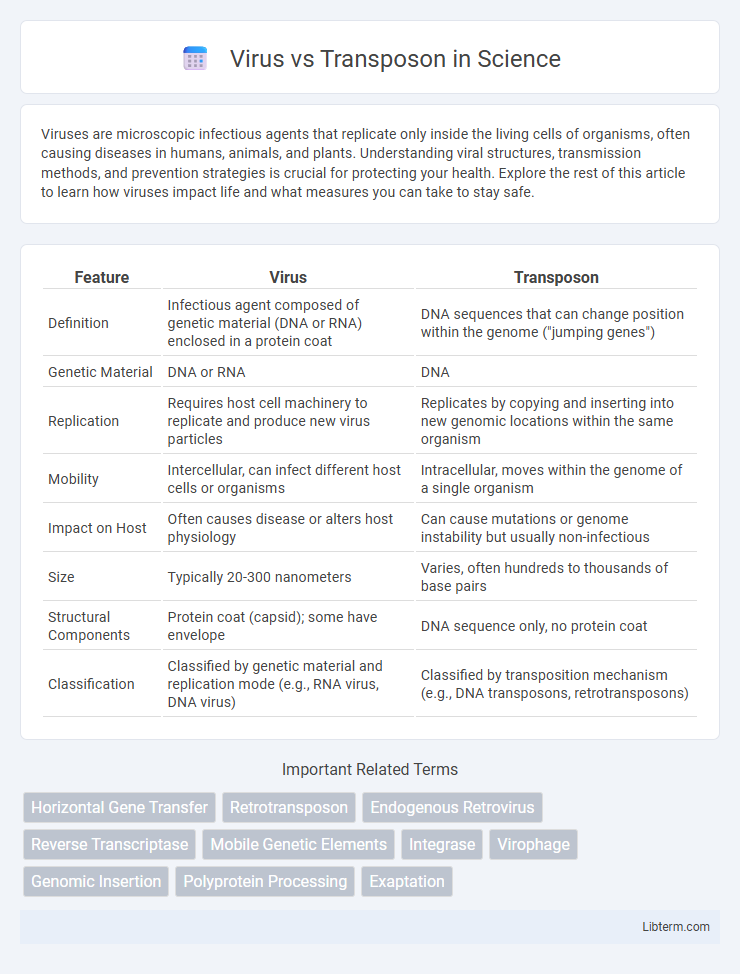 Transposon vs Virus in Science - What is The Difference?