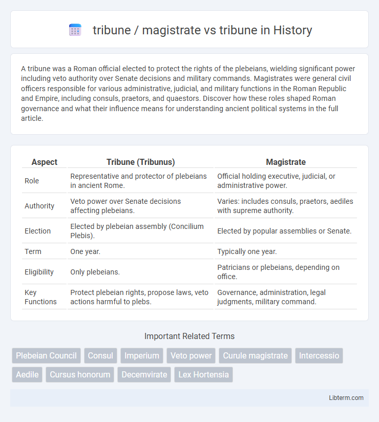 tribune vs tribune / magistrate in History - What is The Difference?