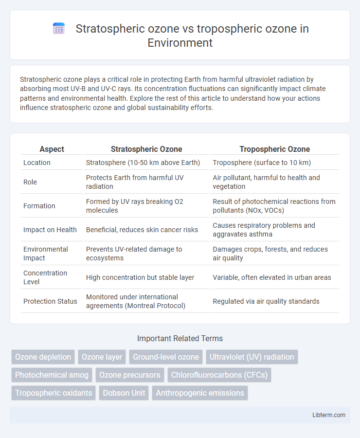 tropospheric ozone vs Stratospheric ozone in Environment - What is The Difference?