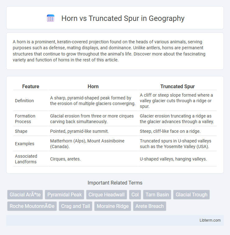 Truncated Spur vs Horn in Geography - What is The Difference?