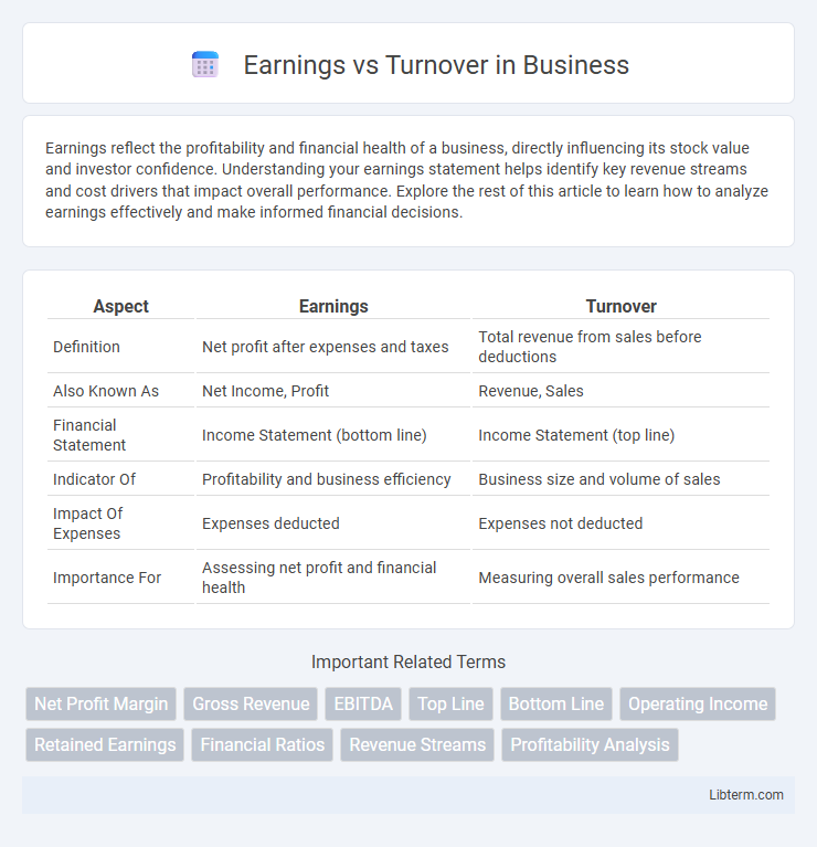 Turnover vs Earnings in Business - What is The Difference?