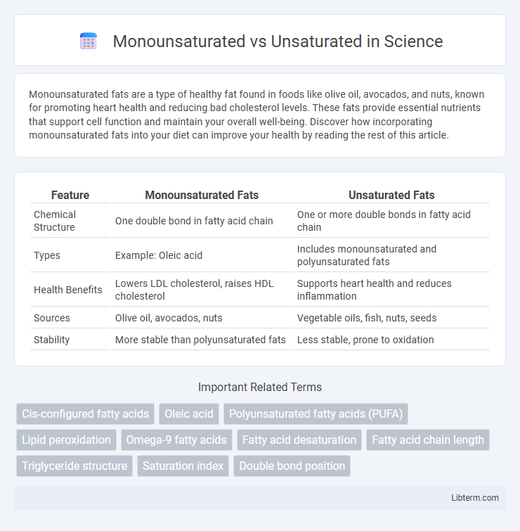 Unsaturated vs Monounsaturated in Science - What is The Difference?