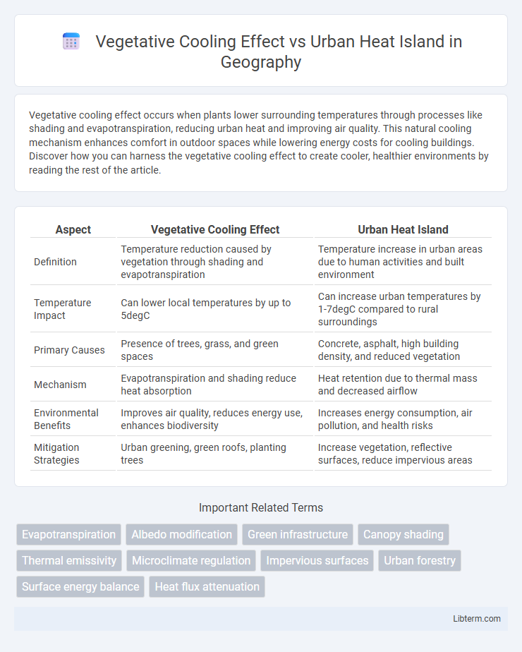 Urban Heat Island vs Vegetative Cooling Effect in Geography - What is The Difference?