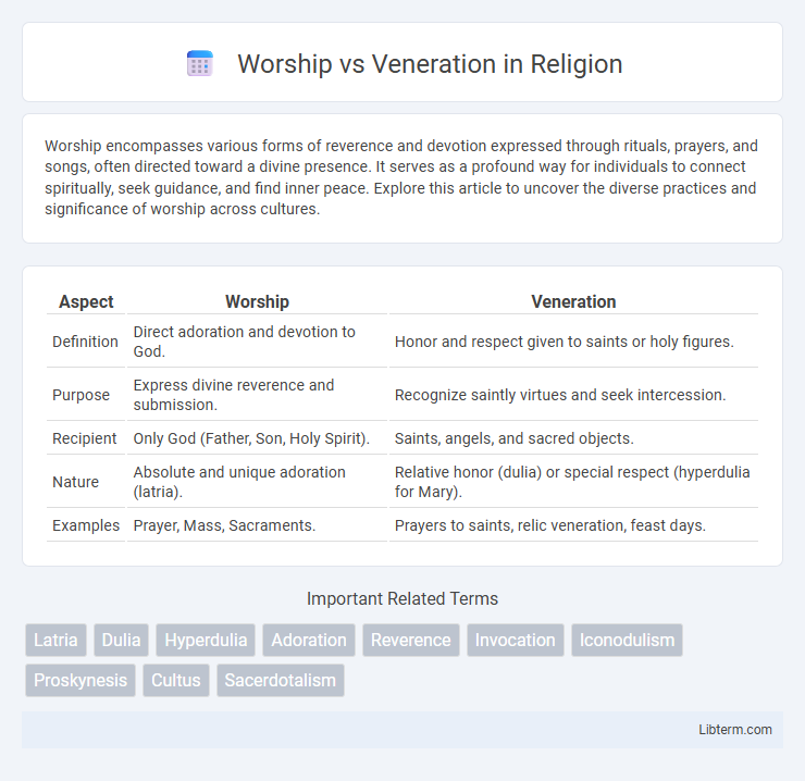 Veneration vs Worship in Religion - What is The Difference?