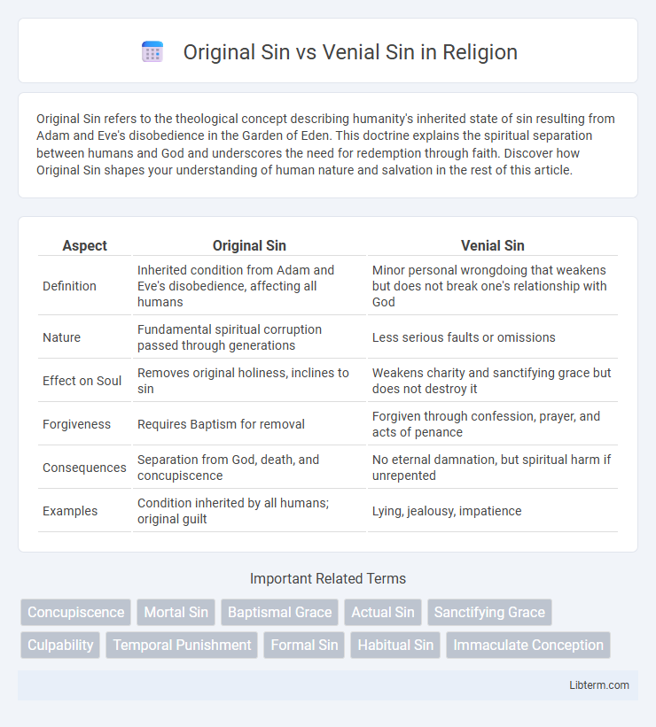 Venial Sin vs Original Sin in Religion - What is The Difference?