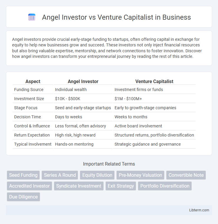 Venture Capitalist vs Angel Investor in Business - What is The Difference?