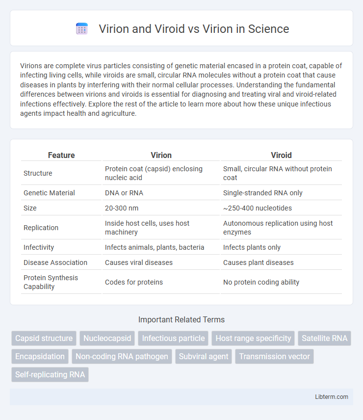 Virion vs Virion and Viroid in Science - What is The Difference?
