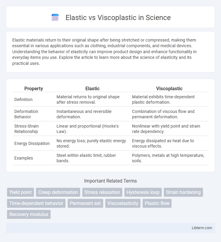 Viscoplastic vs Elastic in Science - What is The Difference?