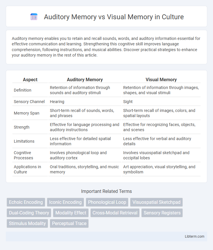 Visual Memory vs Auditory Memory in Culture - What is The Difference?