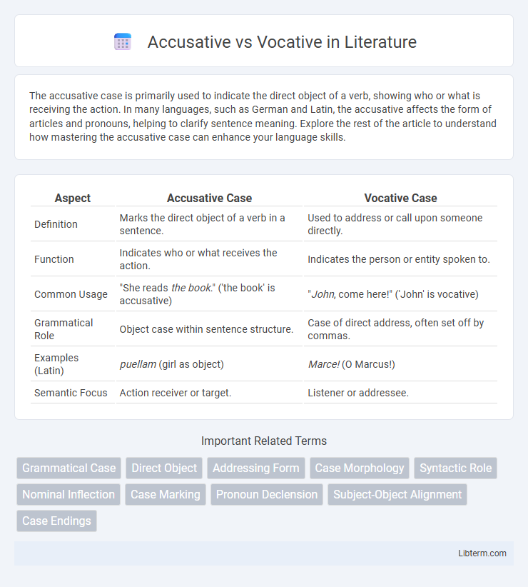 Vocative vs Accusative in Literature - What is The Difference?