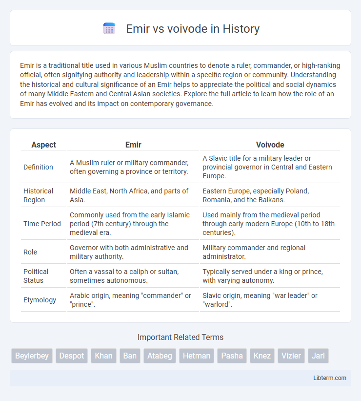 voivode vs Emir in History - What is The Difference?
