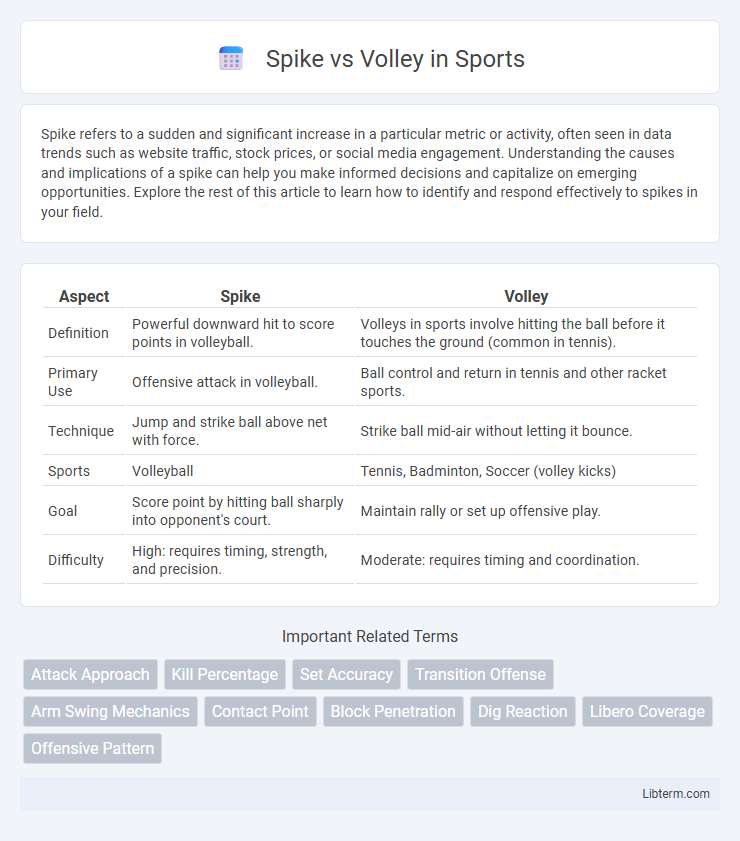 Volley vs Spike in Sports - What is The Difference?