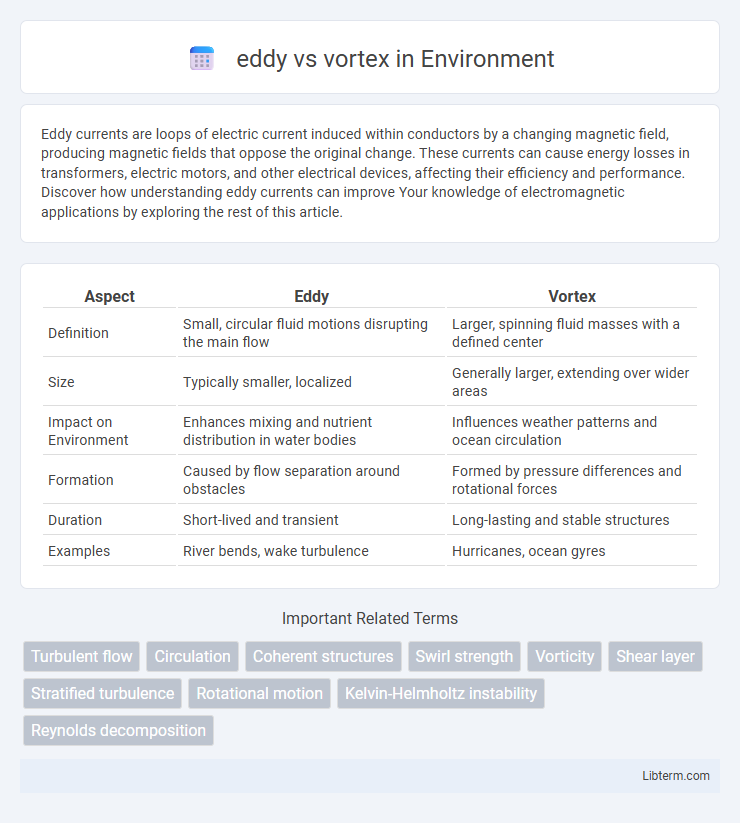 vortex vs eddy in Environment - What is The Difference?