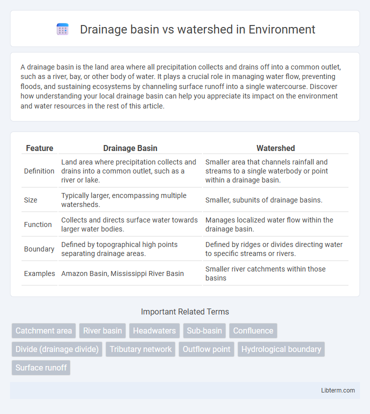 watershed vs Drainage basin in Environment - What is The Difference?