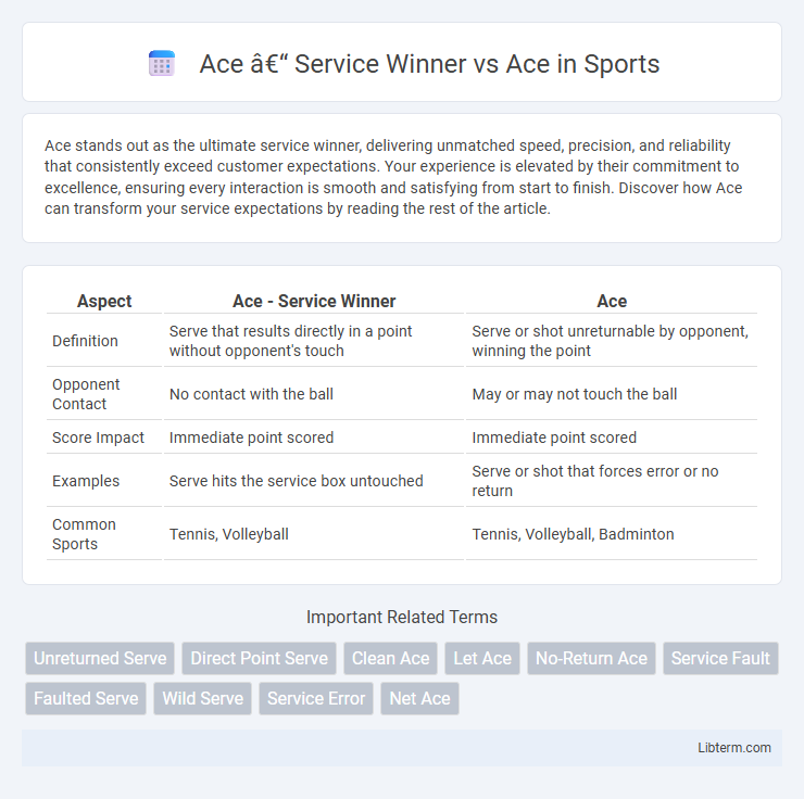 Ace vs Ace – Service Winner in Sports - What is The Difference?