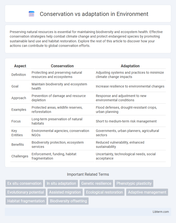 adaptation vs Conservation in Environment - What is The Difference?