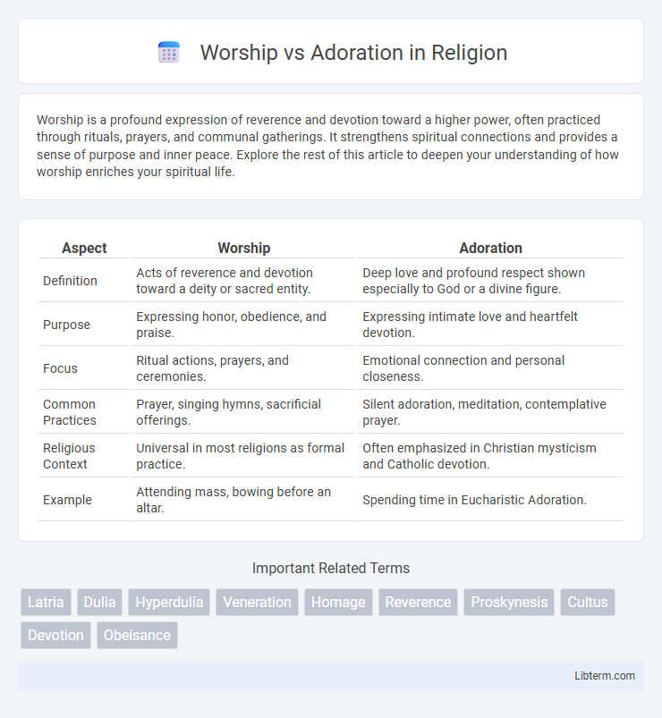 Adoration vs Worship in Religion - What is The Difference?