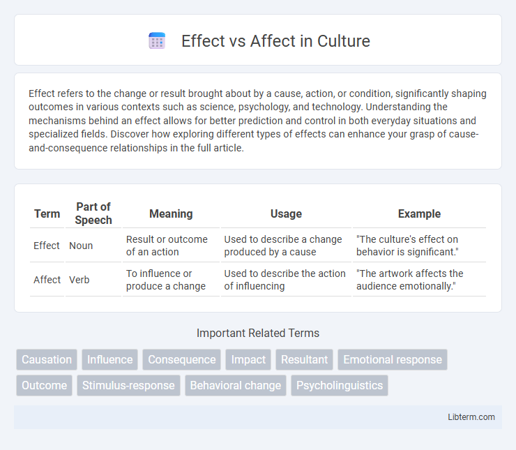 Affect vs Effect in Culture - What is The Difference?