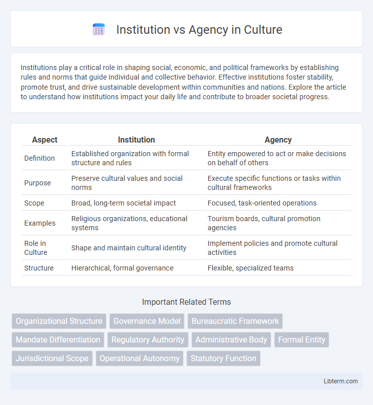 Agency vs Institution in Culture - What is The Difference?