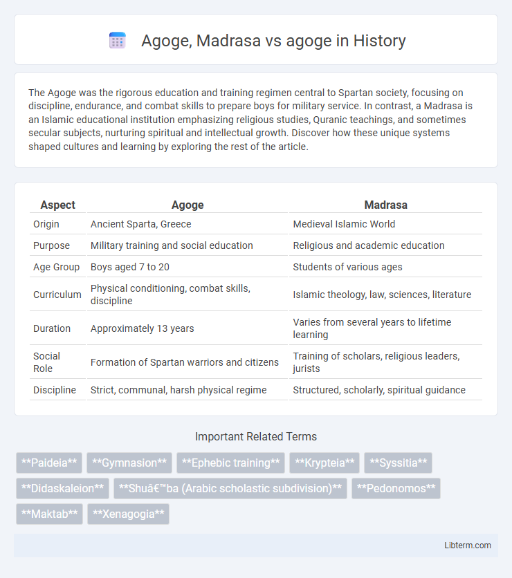 agoge vs Agoge, Madrasa in History - What is The Difference?
