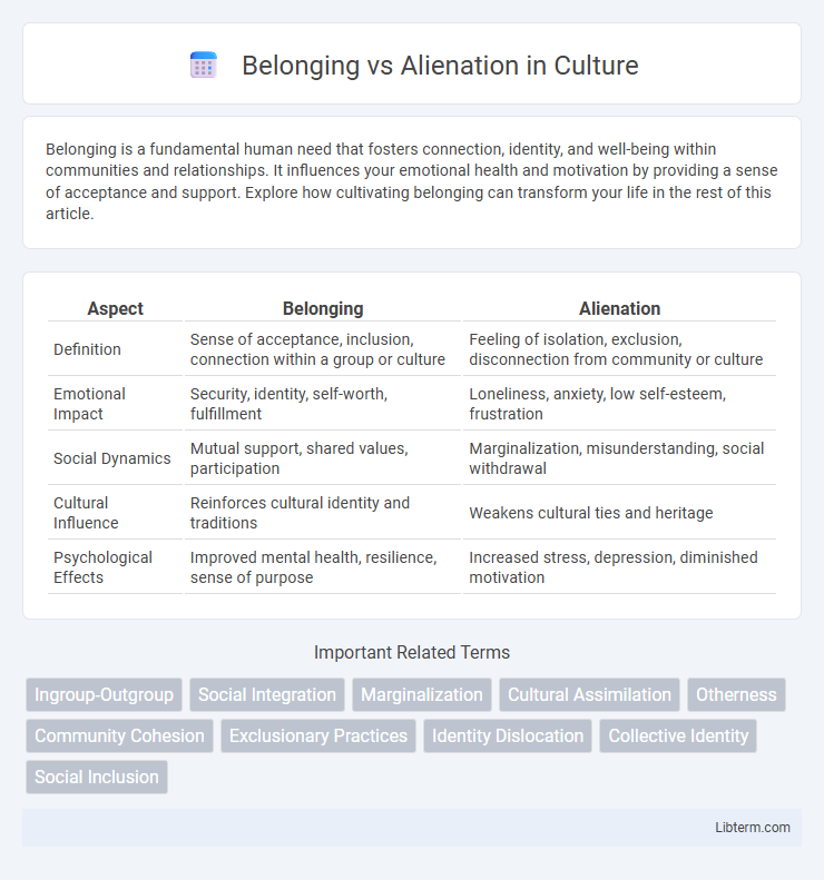 Alienation vs Belonging in Culture - What is The Difference?