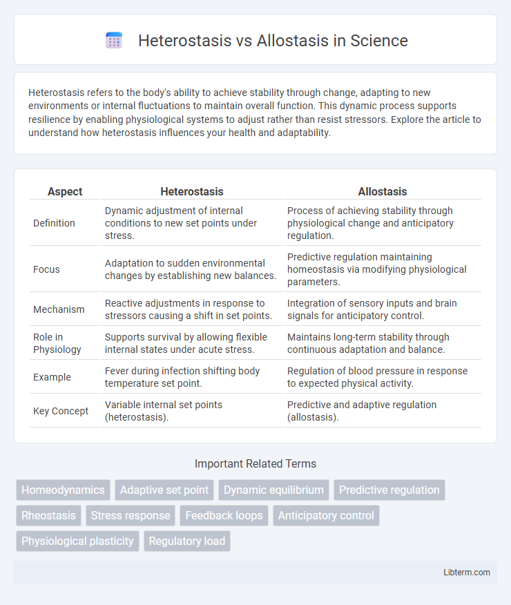 Allostasis vs Heterostasis in Science - What is The Difference?