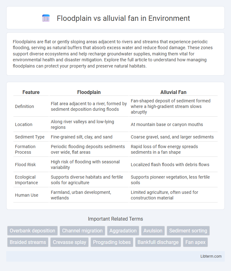 alluvial fan vs Floodplain in Environment - What is The Difference?